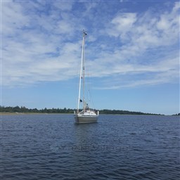 Ovni 30 2