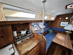 Carter 33  50