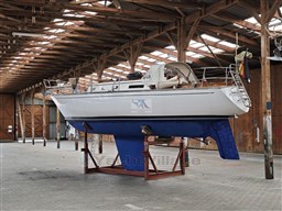 Carter 33 1
