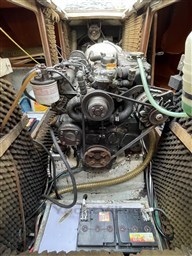 IMG_7620