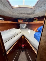 IMG_E7296