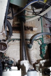 Edership President 445 66