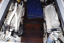 Edership President 445 67