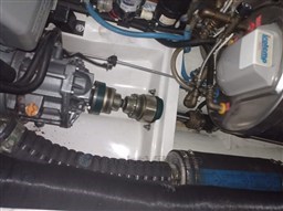 Immagine WhatsApp 2024-12-23 ore 12.22.20_54fe4c3c