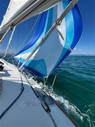 PHOTO-2025-11-29-19-55-45