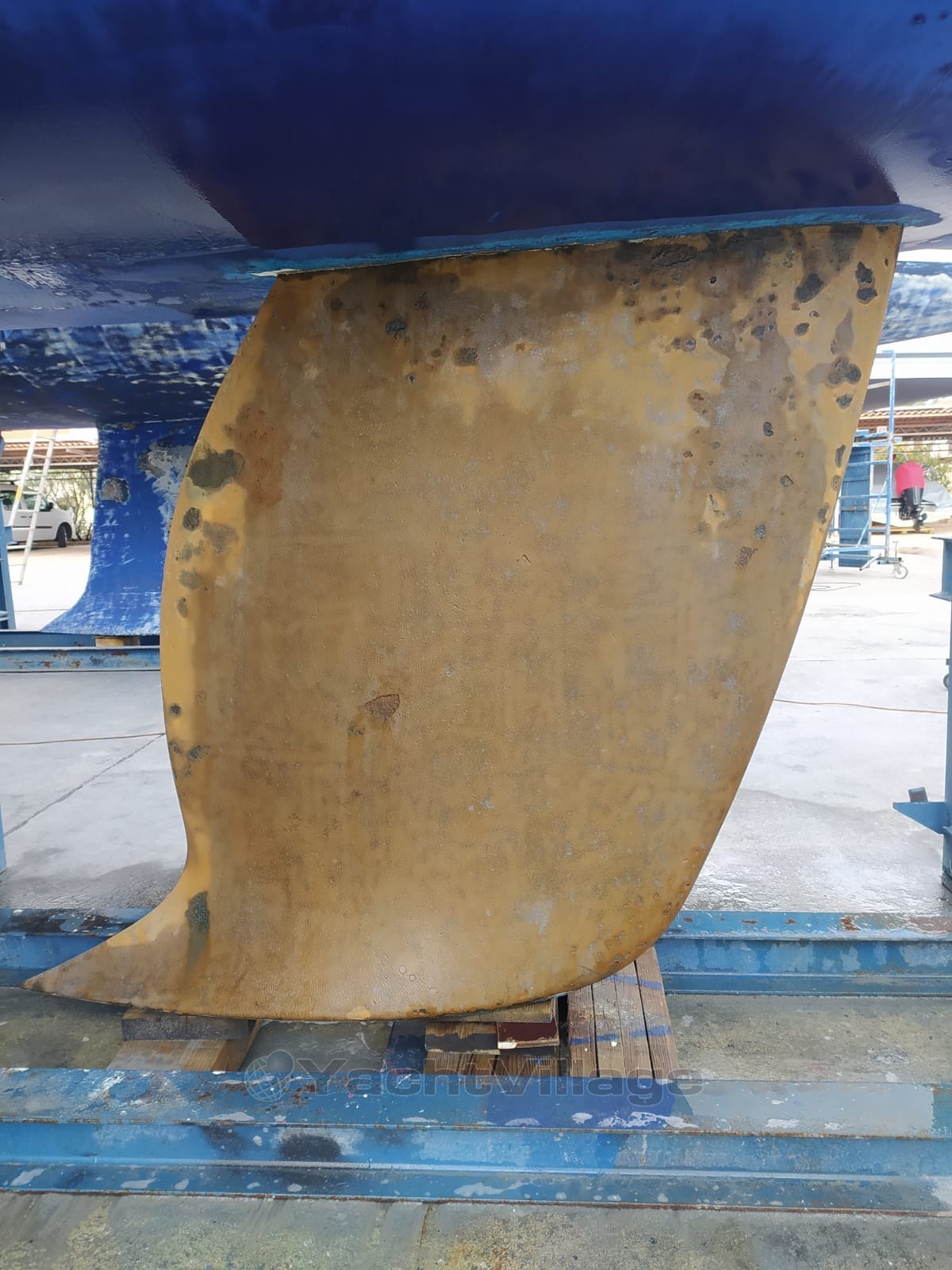 Immagine WhatsApp 2023-03-08 ore 19.00.17_f42b73bc