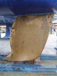 Immagine WhatsApp 2023-03-08 ore 19.00.17_f42b73bc