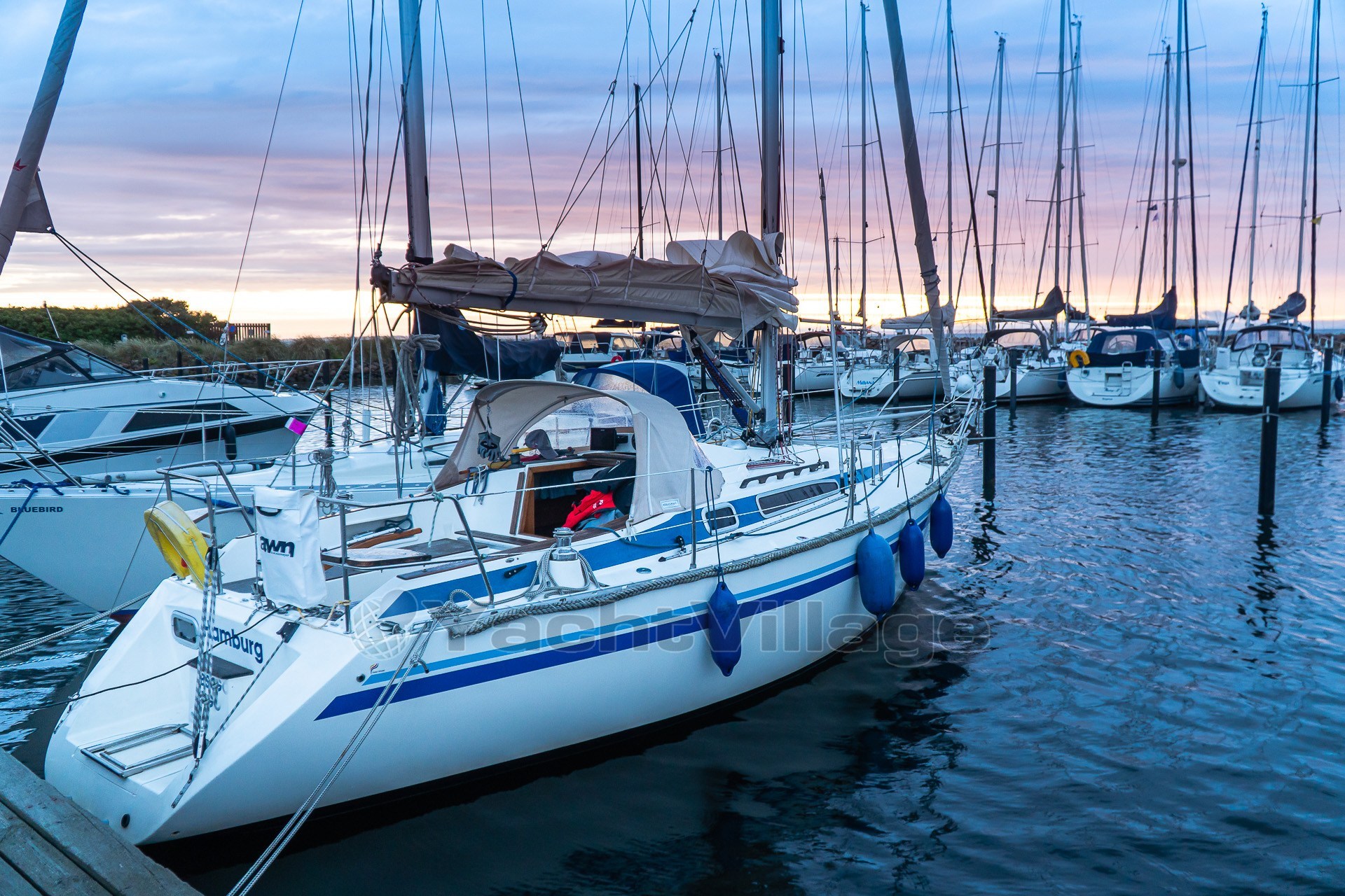 Finngulf 31  11