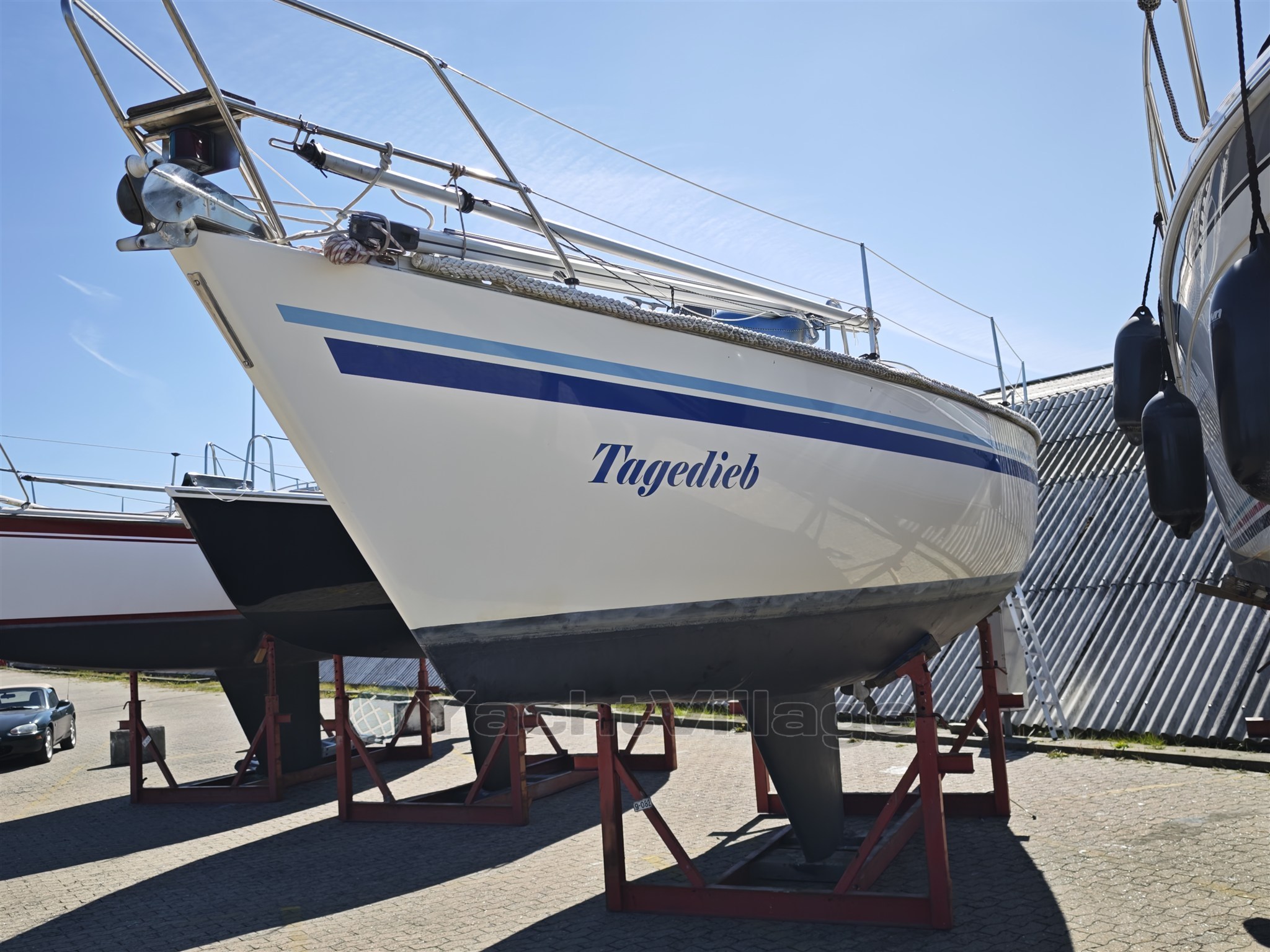 Finngulf 31  55