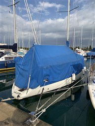 IMG_2084