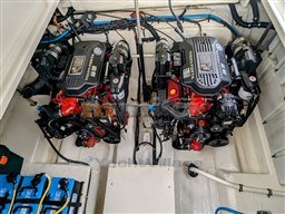 rskz7z1u8v.jpg