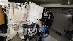 ny112g6x7l.jpg