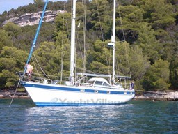 1d45310lcu.jpg