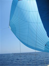 xbn9dg17p8.jpg