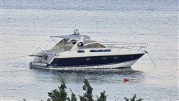 pl4ikh9xnp.jpg