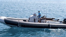 efaccqef25.jpg