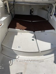 sdv2sy9qzl.jpg