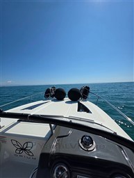yq5xsngvb7.jpg