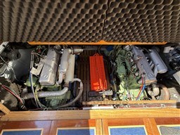 wfhz7pf71q.jpg