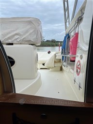 Immagine WhatsApp 2024-10-16 ore 07.33.31_52b5c53e