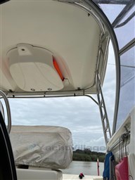 Immagine WhatsApp 2024-10-16 ore 07.33.31_3ad0b183