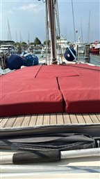 Immagine WhatsApp 2024-09-29 ore 07.22.11_32a37457