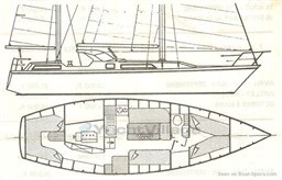 amel-sharki-layout-1