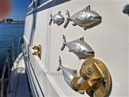 Immagine WhatsApp 2025-10-11 ore 10.33.44_2846ea43