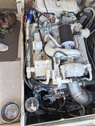 Immagine WhatsApp 2025-10-11 ore 10.33.44_567d7f0d