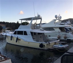 WhatsApp Image 2026-01-31 at 11.29.41