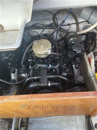 IMG-20221017-WA0015