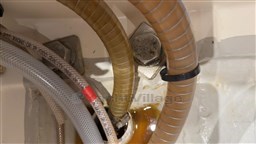 Immagine WhatsApp 2025-08-13 ore 16.01.37_d072d4bc