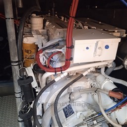 Immagine WhatsApp 2024-06-24 ore 08.48.17_d73f6a36