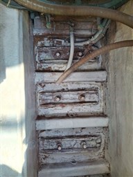 Immagine WhatsApp 2025-05-10 ore 13.10.16_e44eedb0