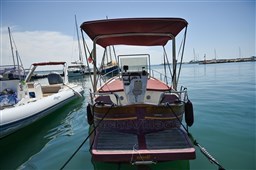 IMG_3956