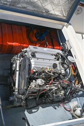 IMG_3950
