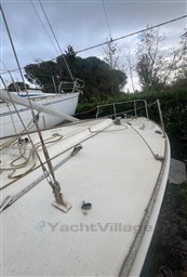 Immagine WhatsApp 2024-11-20 ore 19.25.45_53b0c881