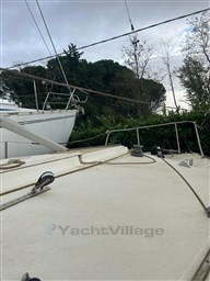 Immagine WhatsApp 2024-11-20 ore 19.25.46_e0e02dd9