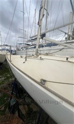 Immagine WhatsApp 2024-11-20 ore 19.25.44_0e6b8f43