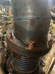 Immagine WhatsApp 2025-01-12 ore 12.53.08_1f4aaa53