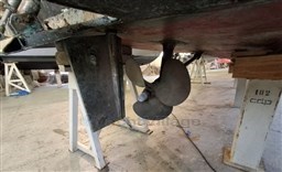 Immagine WhatsApp 2025-01-10 ore 12.08.59_c8f0563e