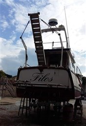 79393267_3461283420556038_7673885537404452864_n