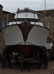 78626572_3461283327222714_485234650503970816_n