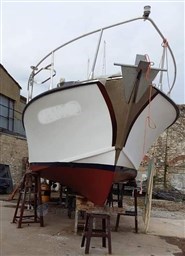 78762791_3461283257222721_6138514594001321984_n