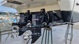 Immagine WhatsApp 2024-10-18 ore 10.15.24_29de2029