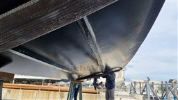 Immagine WhatsApp 2024-10-18 ore 10.15.25_0a102d3d