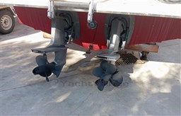 Immagine WhatsApp 2025-03-15 ore 16.43.46_627eaa75