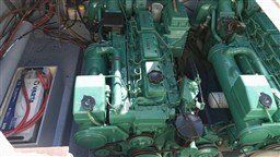 Immagine WhatsApp 2025-03-15 ore 16.43.45_e03a3611