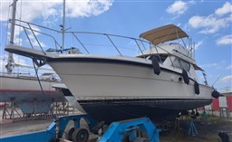 Immagine WhatsApp 2025-11-06 ore 12.27.55_c1d8d6a5