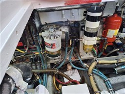 Immagine WhatsApp 2025-11-06 ore 16.00.42_af8f9407